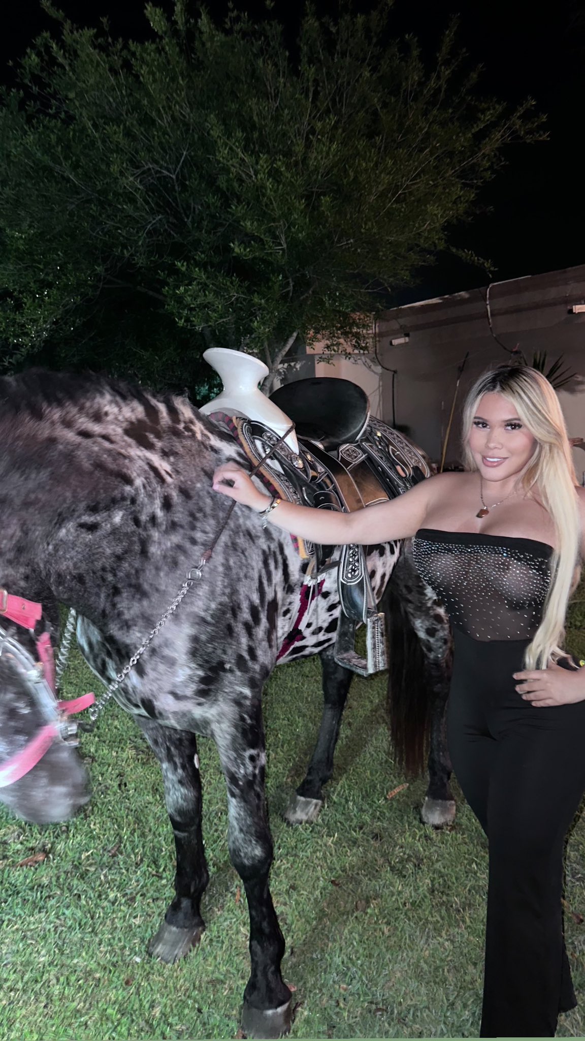 escort en tamaulipas morena canela